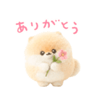 ふわふわぽぽちのやさしいスタンプ（個別スタンプ：4）