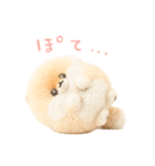 ふわふわぽぽちのやさしいスタンプ（個別スタンプ：7）