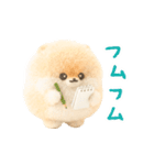 ふわふわぽぽちのやさしいスタンプ（個別スタンプ：12）