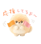ふわふわぽぽちのやさしいスタンプ（個別スタンプ：13）