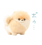 ふわふわぽぽちのやさしいスタンプ（個別スタンプ：14）