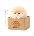 ふわふわぽぽちのやさしいスタンプ（個別スタンプ：18）