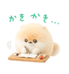 ふわふわぽぽちのやさしいスタンプ（個別スタンプ：20）