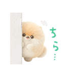 ふわふわぽぽちのやさしいスタンプ（個別スタンプ：24）