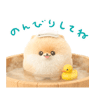 ふわふわぽぽちのやさしいスタンプ（個別スタンプ：27）