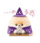 ふわふわぽぽちのやさしいスタンプ（個別スタンプ：30）