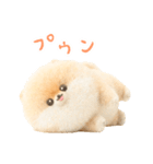 ふわふわぽぽちのやさしいスタンプ（個別スタンプ：31）