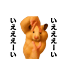 踊る！横揺れ界隈キンクマハムスター1（個別スタンプ：2）