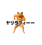 踊る！横揺れ界隈キンクマハムスター1（個別スタンプ：4）