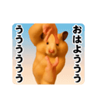 踊る！横揺れ界隈キンクマハムスター1（個別スタンプ：5）