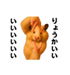 踊る！横揺れ界隈キンクマハムスター1（個別スタンプ：7）