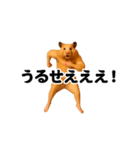 踊る！横揺れ界隈キンクマハムスター1（個別スタンプ：9）
