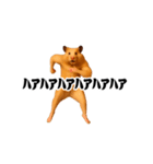 踊る！横揺れ界隈キンクマハムスター1（個別スタンプ：11）