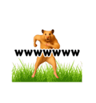 踊る！横揺れ界隈キンクマハムスター1（個別スタンプ：12）
