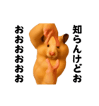 踊る！横揺れ界隈キンクマハムスター1（個別スタンプ：15）