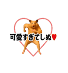 踊る！横揺れ界隈キンクマハムスター1（個別スタンプ：20）