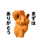 踊る！横揺れ界隈キンクマハムスター1（個別スタンプ：21）