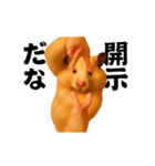 踊る！横揺れ界隈キンクマハムスター1（個別スタンプ：22）