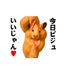 踊る！横揺れ界隈キンクマハムスター1（個別スタンプ：23）