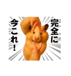 踊る！横揺れ界隈キンクマハムスター1（個別スタンプ：24）