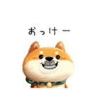 旅犬シバちよ★気遣いスタンプ（個別スタンプ：34）