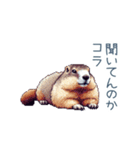 ちょっと強気なマーモット【面白い】（個別スタンプ：2）