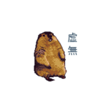 ちょっと強気なマーモット【面白い】（個別スタンプ：3）