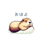ちょっと強気なマーモット【面白い】（個別スタンプ：7）