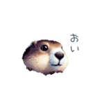 ちょっと強気なマーモット【面白い】（個別スタンプ：8）