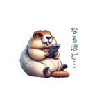 ちょっと強気なマーモット【面白い】（個別スタンプ：9）
