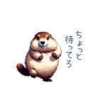 ちょっと強気なマーモット【面白い】（個別スタンプ：11）