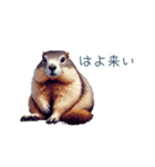ちょっと強気なマーモット【面白い】（個別スタンプ：14）