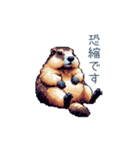ちょっと強気なマーモット【面白い】（個別スタンプ：18）