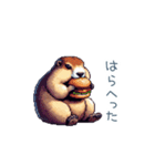 ちょっと強気なマーモット【面白い】（個別スタンプ：19）