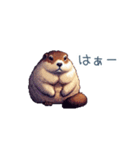 ちょっと強気なマーモット【面白い】（個別スタンプ：22）