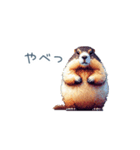 ちょっと強気なマーモット【面白い】（個別スタンプ：24）