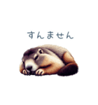 ちょっと強気なマーモット【面白い】（個別スタンプ：27）