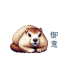 ちょっと強気なマーモット【面白い】（個別スタンプ：30）