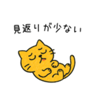 辛辣に煽るネコ＠ずっと使える（個別スタンプ：40）