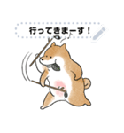 豆柴トンちゃん（文字変更可能）（個別スタンプ：1）