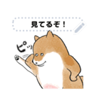 豆柴トンちゃん（文字変更可能）（個別スタンプ：2）