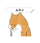 豆柴トンちゃん（文字変更可能）（個別スタンプ：5）