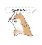 豆柴トンちゃん（文字変更可能）（個別スタンプ：6）