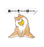 豆柴トンちゃん（文字変更可能）（個別スタンプ：8）