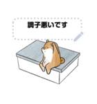 豆柴トンちゃん（文字変更可能）（個別スタンプ：9）