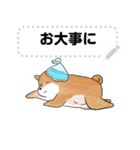 豆柴トンちゃん（文字変更可能）（個別スタンプ：10）