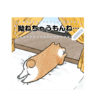 豆柴トンちゃん（文字変更可能）（個別スタンプ：12）