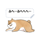豆柴トンちゃん（文字変更可能）（個別スタンプ：13）