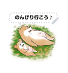 豆柴トンちゃん（文字変更可能）（個別スタンプ：16）