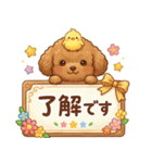 ずっと使える挨拶♡トイプードル（個別スタンプ：1）